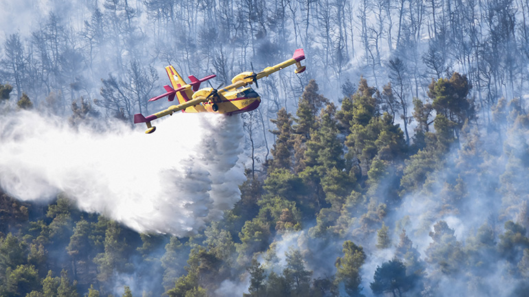 Έφτασε στο Παλαιοχώρι η φωτιά