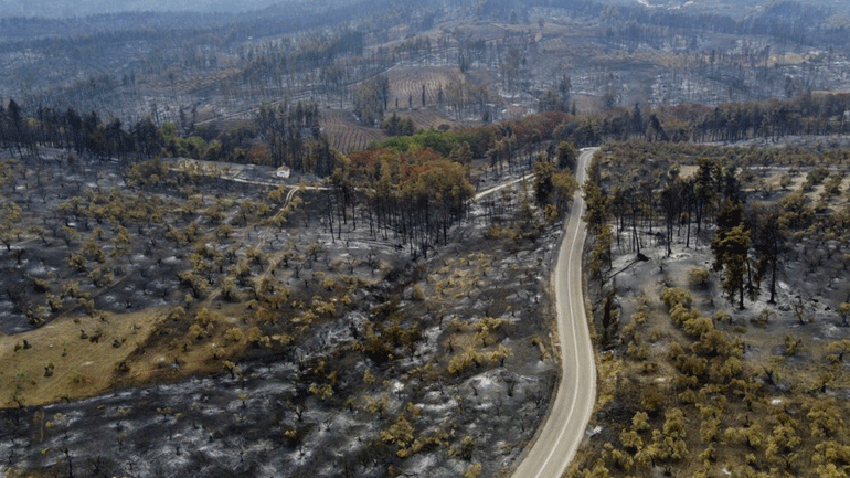 Ξεκίνησαν οι αιτήσεις για τους πυρόπληκτους
