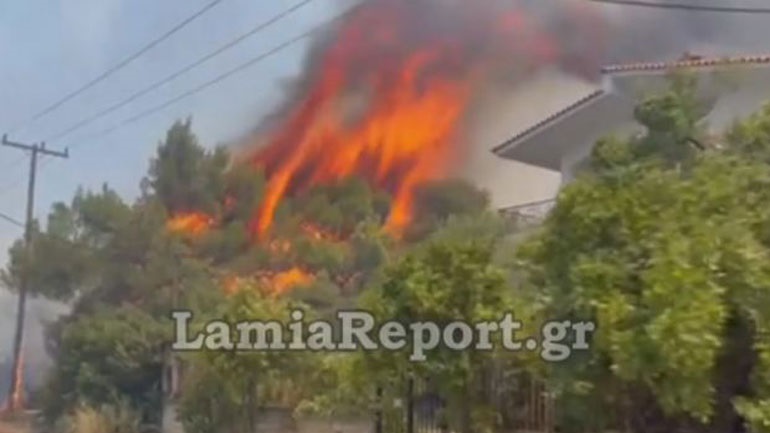 Φθιώτιδα: Άλλαξε ξαφνικά γνώμη ο 14χρονος – Δεν παραδέχεται τους εμπρησμούς
