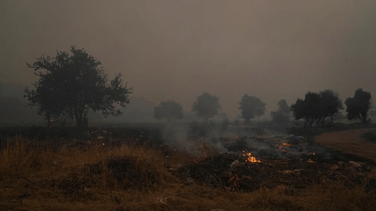 Ελεύθερος με περιοριστικούς όρους ο 14χρονος για τις φωτιές στον Θεολόγο