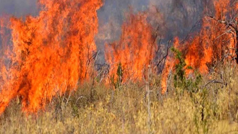 Υψηλός ο κίνδυνος πυρκαγιάς τη Δευτέρα σε πέντε περιφέρειες
