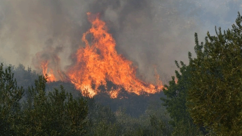 Δεν κινδυνεύουν κατοικίες από τη φωτιά στο Μετόχι Καρύστου