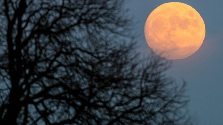 Για τους ρέκτες της γοητείας…