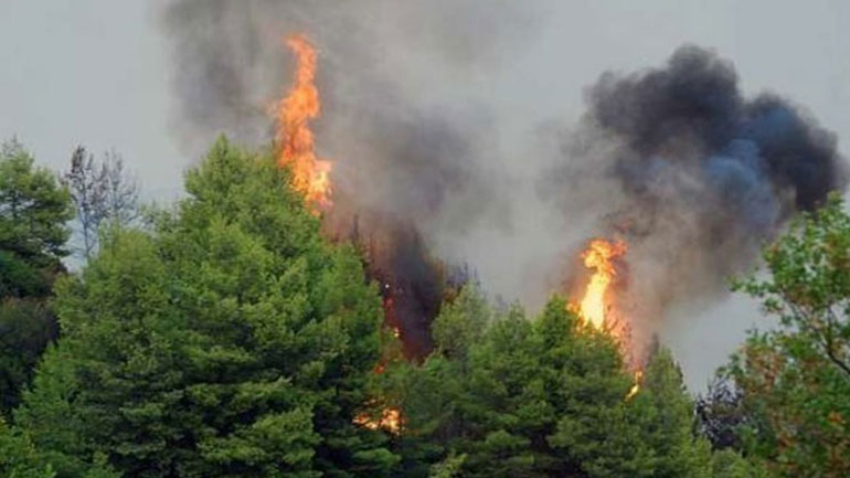 Πολύ υψηλός κίνδυνος πυρκαγιάς την Πέμπτη