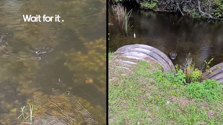 Έκπληξη κατά τη διάρκεια του ψαρέματος