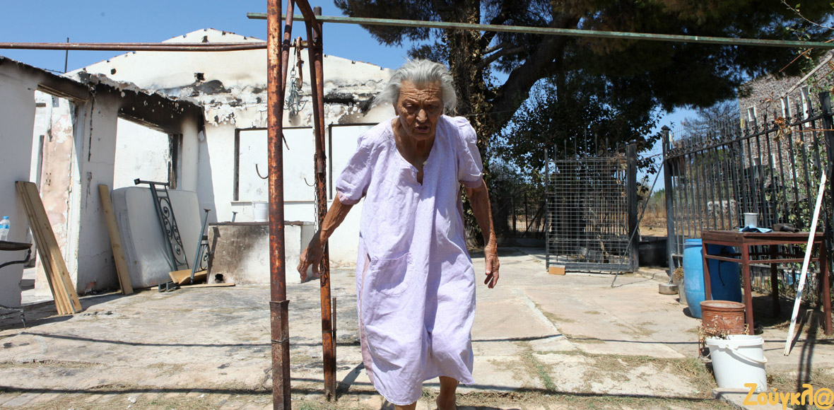 Ζωή στις στάχτες