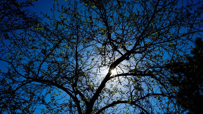 Ο καιρός σήμερα Ο καιρός σήμερα