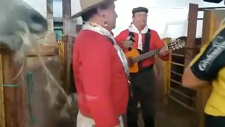 To άλογο έχει νεύρα