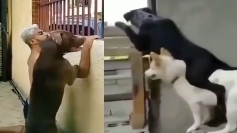 Όταν τσακώνονται οι γείτονες