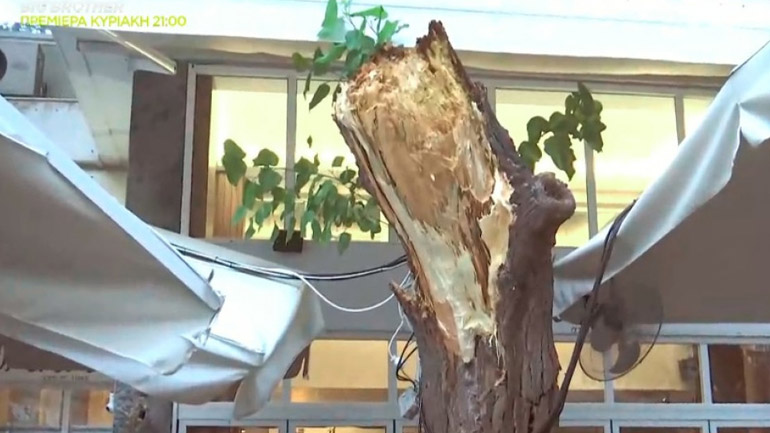 Κατέρρευσε δέντρο στο εστιατόριο που δειπνούσαν Πάιατ-Μενέντεζ 