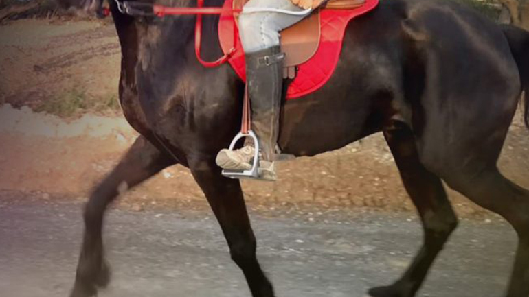 Κρήτη: Ηλικιωμένος έπεσε από άλογο σε δύσβατο σημείο – Κινητοποίηση πυροσβεστικής και ΕΚΑΒ