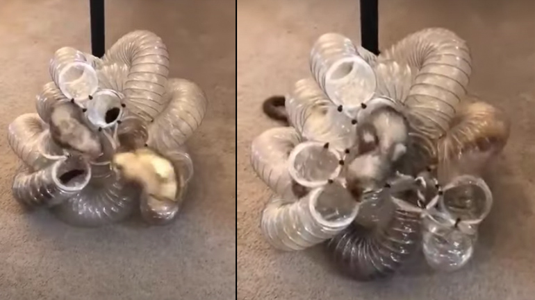 Η ώρα του παιχνιδιού