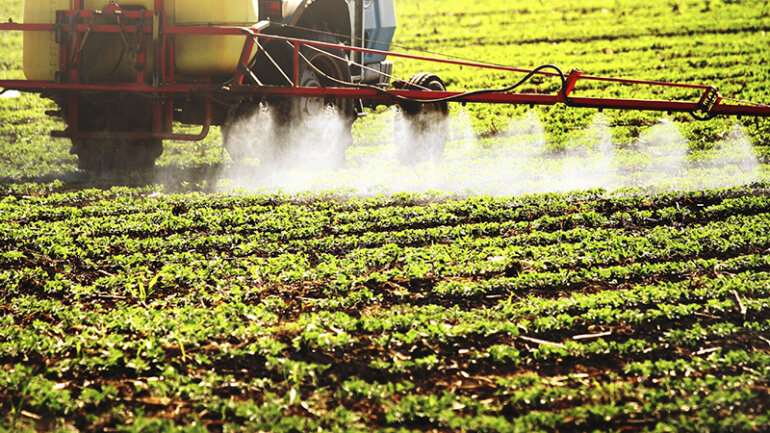Φυτοφάρμακο μπορεί να είναι εν μέρει υπεύθυνο για την παγκόσμια επιδημία παχυσαρκίας