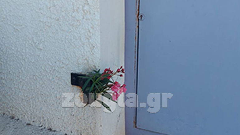 Λουλούδια έξω από το εξοχικό του Θεοδωράκη στο Βραχάτι
