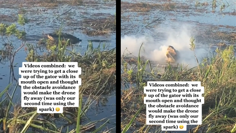 Aλιγάτορας τρώει ένα drone
