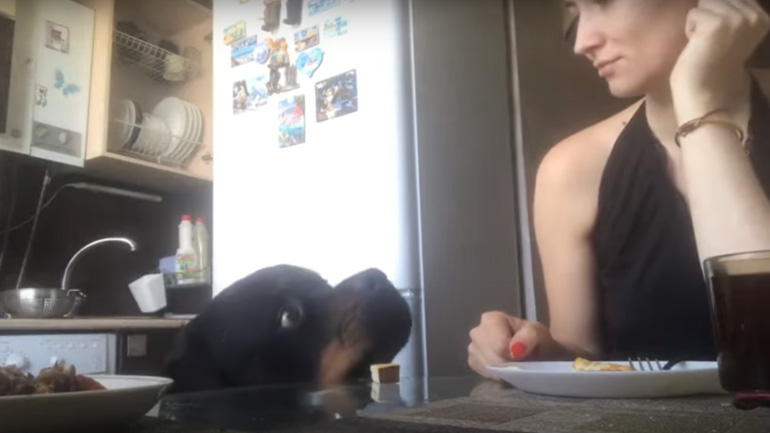 Είμαι αθώος!