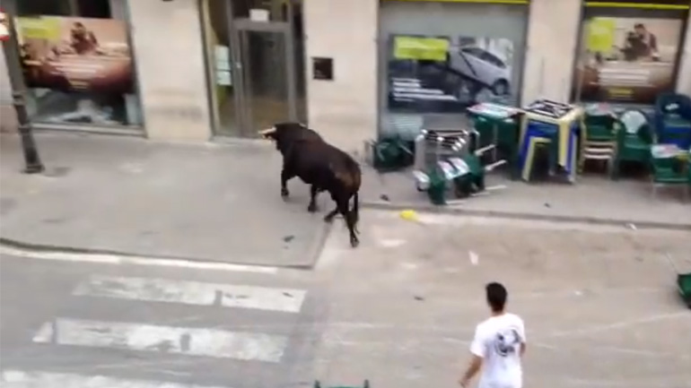 Ταύρος μπαίνει σε τράπεζα