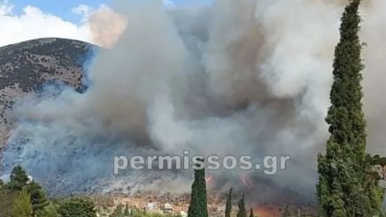 Σε ύφεση η πυρκαγιά στη Παραλία Διστόμου Σε ύφεση η πυρκαγιά στη Παραλία Διστόμου