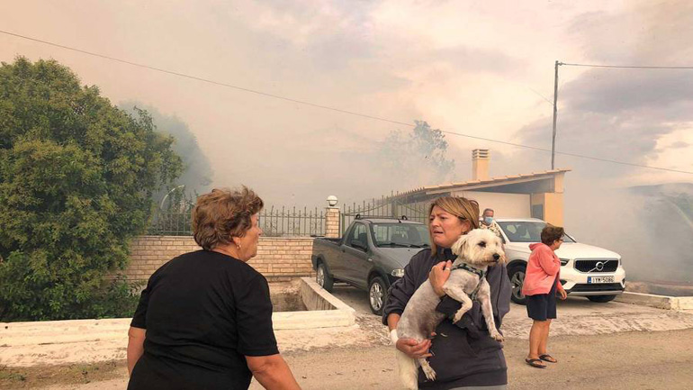 Φωτιά στην Αγία Άννα στο Τημένιο Αργολίδας