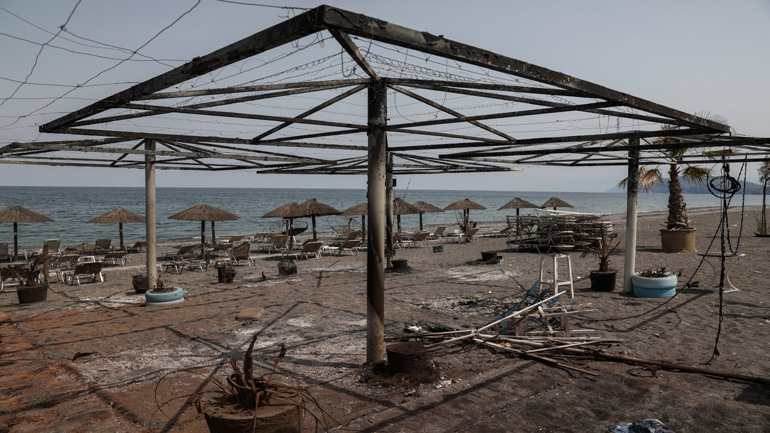 ΓΣΕΒΕΕ: Στοίχημα η ανασυγκρότηση των πυρόπληκτων περιοχών της Εύβοιας