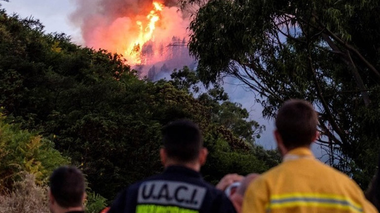 Ισπανία: Νεκρός πυροσβέστης σε δασική πυρκαγιά