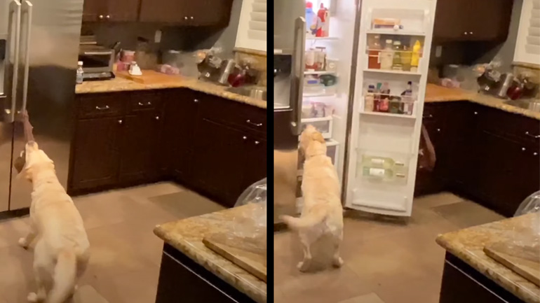 Πιάνεις μια μπίρα;