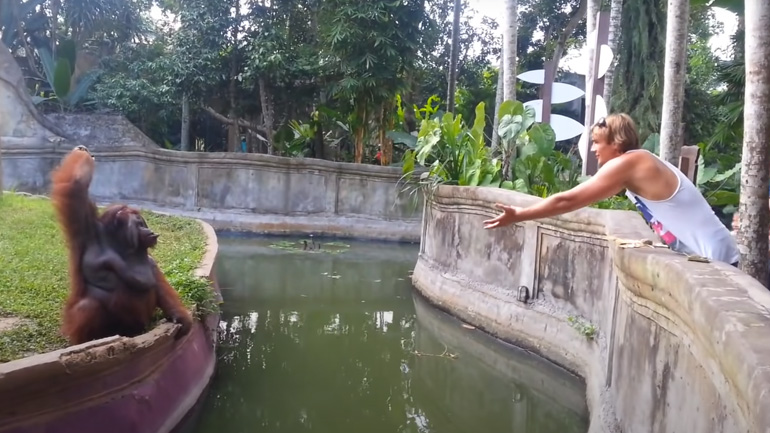 Ανταλλαγή προϊόντων