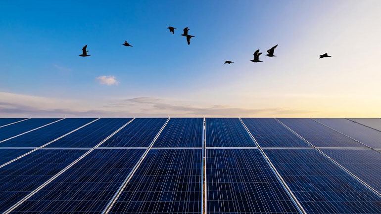 Έρχεται σχέδιο νόμου για τις ανανεώσιμες πηγές ενέργειας