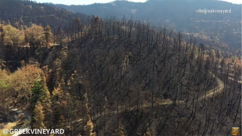 Η καταστροφή του φυσικού πλούτου της Εύβοιας από ψηλά