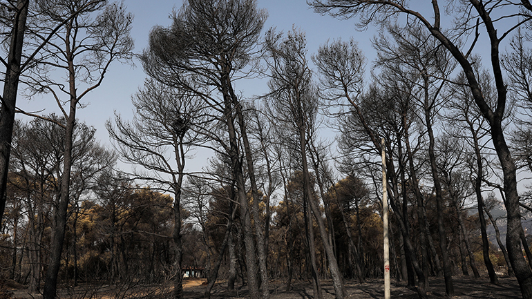 Νεκρός από τη φωτιά της Βαρυμπόμπης Νεκρός από τη φωτιά της Βαρυμπόμπης
