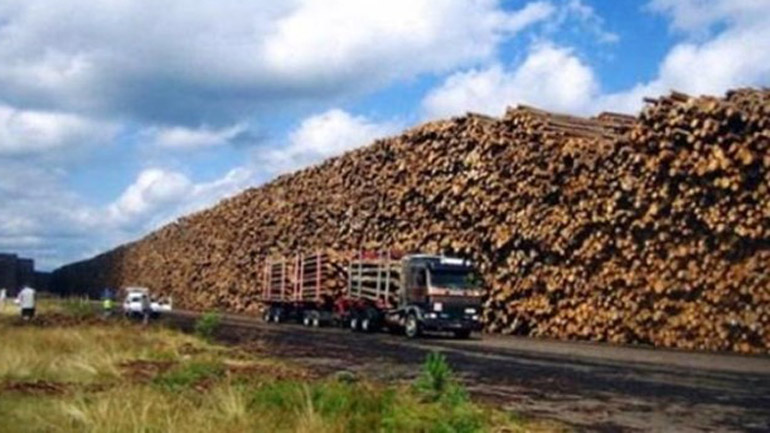 Η απάτη με το Τίμιο Ξύλο