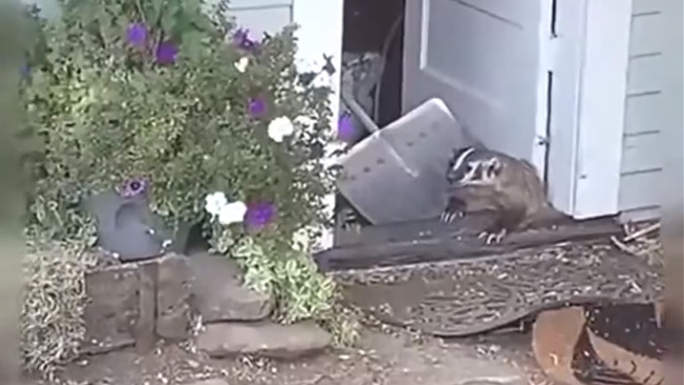 Άντε στη φωλιά σου!