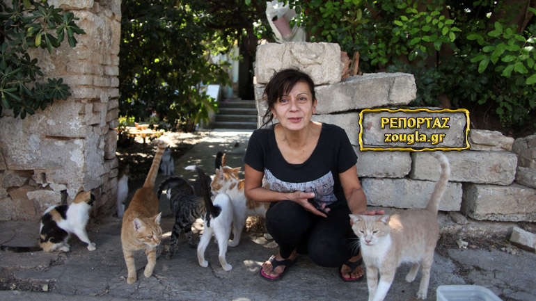 Ελευσίνα: Φιλόζωη μένει άστεγη και μαζί με αυτή τα δεκάδες αδέσποτα που φροντίζει