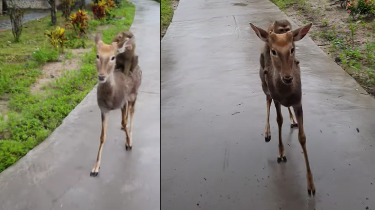 Πάμε βόλτα!