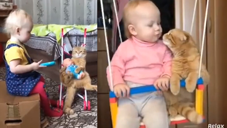 Το μωρό και η γάτα