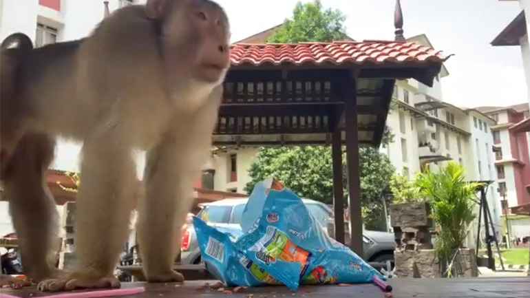 Γιατί δεν με καλέσατε; 