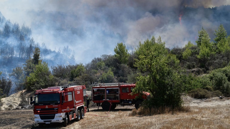 Ναύπλιο: Φωτιά σε αγροτοδασική έκταση στη δημοτική ενότητα Μυκηναίων
