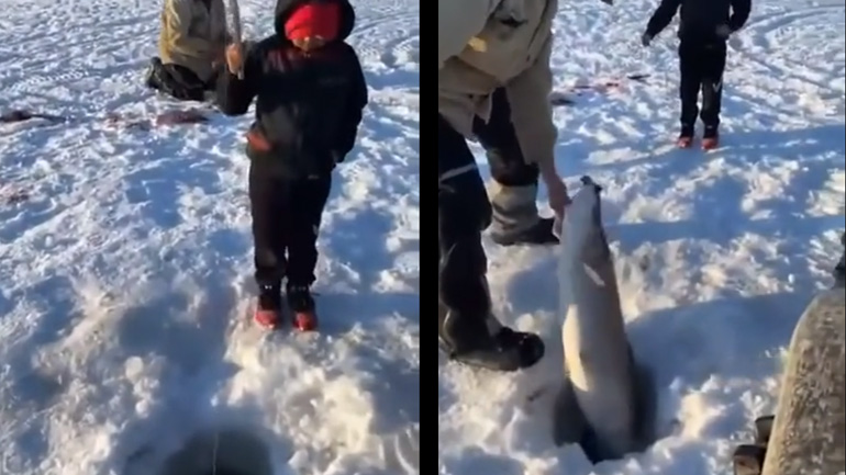 Ο μικρός ψαράς