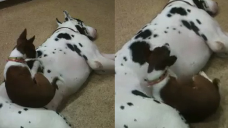 Άνετο κρεβάτι