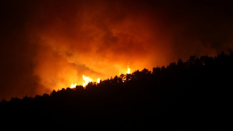 Πυρκαγιά σε δασική έκταση στη Θύμη Καρύστου Ευβοίας