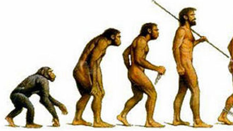 Πώς οι άνθρωποι έχασαν την… ουρά τους