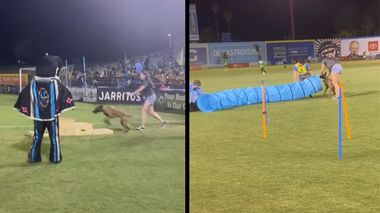 Εξαιρετικός!