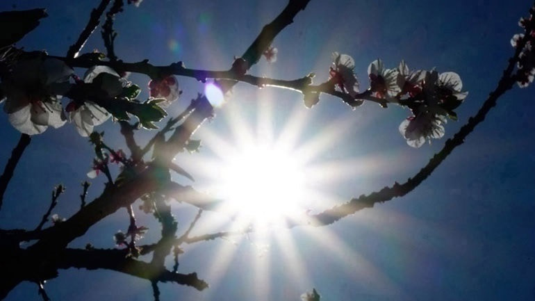 Ο καιρός σήμερα