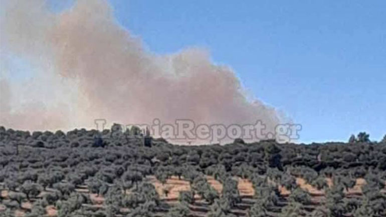 Πυρκαγιά στην Αταλάντη