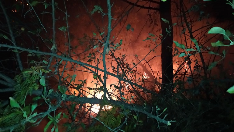 Δυτική Μακεδονία: Πυρκαγιές σε Καστοριά και Κοζάνη