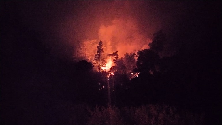 Πυρκαγιά στα Άγναντα Αμαλιάδας Πυρκαγιά στα Άγναντα Αμαλιάδας