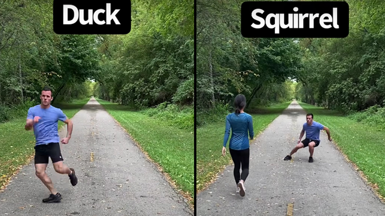 Πώς θα έτρεχαν τα ζώα αν ήταν άνθρωποι; 