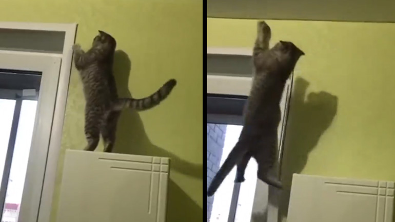 Απρόσμενη πτήση 