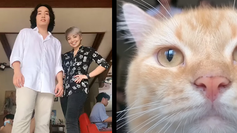 Η γάτα κλέβει την παράσταση