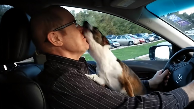 Σκύλος καταλαβαίνει ότι φτάνει στο πάρκο